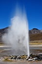 Geysir of puchuldiza Royalty Free Stock Photo