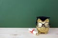 Gold piggy bank with a grad cap and diploma in front of green chalkboard. Education scholarship Royalty Free Stock Photo