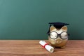 Gold piggy bank with a grad cap and diploma in front of green chalkboard. Education scholarship Royalty Free Stock Photo