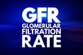 GFR - Glomerular Filtration Rate acronym, medical concept background