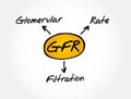 GFR - Glomerular Filtration Rate acronym, medical concept