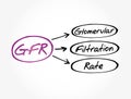 GFR - Glomerular Filtration Rate acronym