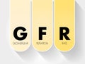 GFR - Glomerular Filtration Rate acronym, medical concept background