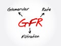 GFR - Glomerular Filtration Rate acronym, medical concept background