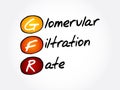 GFR - Glomerular Filtration Rate acronym, medical concept