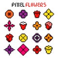 Various colorful pixel flowers