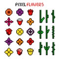 Set of various colorful pixel flowers