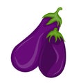 illustration vector graphic of eggplant.