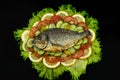 Ggrilled dorado fish with vegetables: salad, tomatoes, cucumber, green pepper and lemon Royalty Free Stock Photo