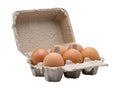 Ggs in egg carton side view isolated Royalty Free Stock Photo