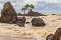 Ghana beach with rocks and golden sea Royalty Free Stock Photo