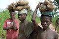 Ghanaian boys carry yams on their heads