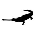 Gharial Gavialis gangeticus Silhouette Found In Map Of Asia