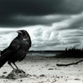 Ghastly grim and ancient raven wandering from the Nightly shore