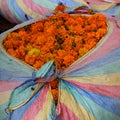 Ghazipur Phool Mandi flower market situation in the morning, the flower it self came from china, Vietnam, thailand and India