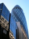 Gherkin Royalty Free Stock Photo