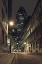 Gherkin building at night Royalty Free Stock Photo