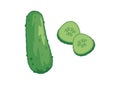 Gherkin cucumber icon vector