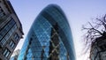 The Gherkin