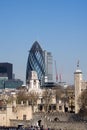 The Gherkin and London Tower Royalty Free Stock Photo