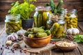 Gherkins Pickles Salted Cucumbers Still-Life Royalty Free Stock Photo