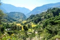 Ghermu - Lush green rice paddies in Himalayas