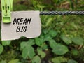 Inspirational motivational quote - dream big on torn paper with blurry nature background.