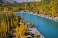 Ghizer river flowing through forest