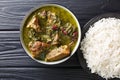 Ghormeh Sabzi Persian Herb Stew with meat and beans closeup in a bowl. horizontal top view Royalty Free Stock Photo