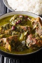 Ghormeh Sabzi Persian Herb Stew with meat and beans closeup in a bowl. vertical Royalty Free Stock Photo