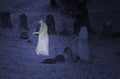 Ghost on the cemetery