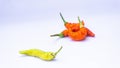 The ghost chilies (Naga Marica) with a white background. Royalty Free Stock Photo