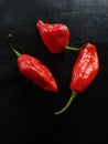 Ghost chilli the hottest chilli pepper