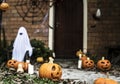 Ghost costume for Halloween party Royalty Free Stock Photo