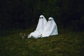 Ghost Couple Sitting in Grass