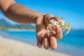 Ghost Crab with a funny face Royalty Free Stock Photo