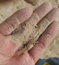 Ghost crab on the hand at the beach Royalty Free Stock Photo