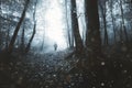 Ghost in dark forest with fog Royalty Free Stock Photo