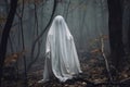 Ghost in a dark forest. Halloween concept Royalty Free Stock Photo