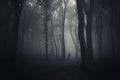 Ghost in a dark scary mysterious forest on Halloween Royalty Free Stock Photo