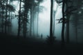 Ghost in the fog in dark spooky woods Royalty Free Stock Photo