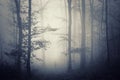 Ghost in the fog in mysterious forest Royalty Free Stock Photo