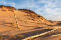 Ghost Forest of Sleeping Bear Dunes National Lakeshore Royalty Free Stock Photo