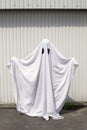 A ghost in front of a garage door