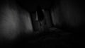 Ghost girl. Scary ghost in the dark corridor