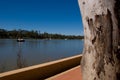 Ghost Gum on Fitzroy River Royalty Free Stock Photo