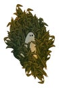 Ghost in the Halloween Field