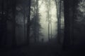 Ghost on Halloween in mysterious dark forest with fog Royalty Free Stock Photo