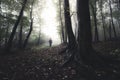 Ghost in haunted forest on Halloween Royalty Free Stock Photo