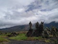 Ghost of Indonesian Mountain